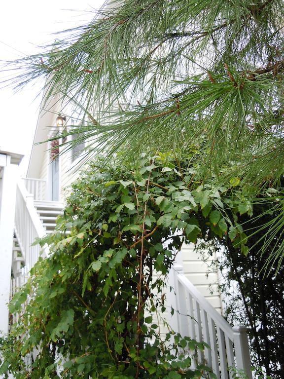 Bed and Breakfast Carriage House Fredericksburg Exterior foto